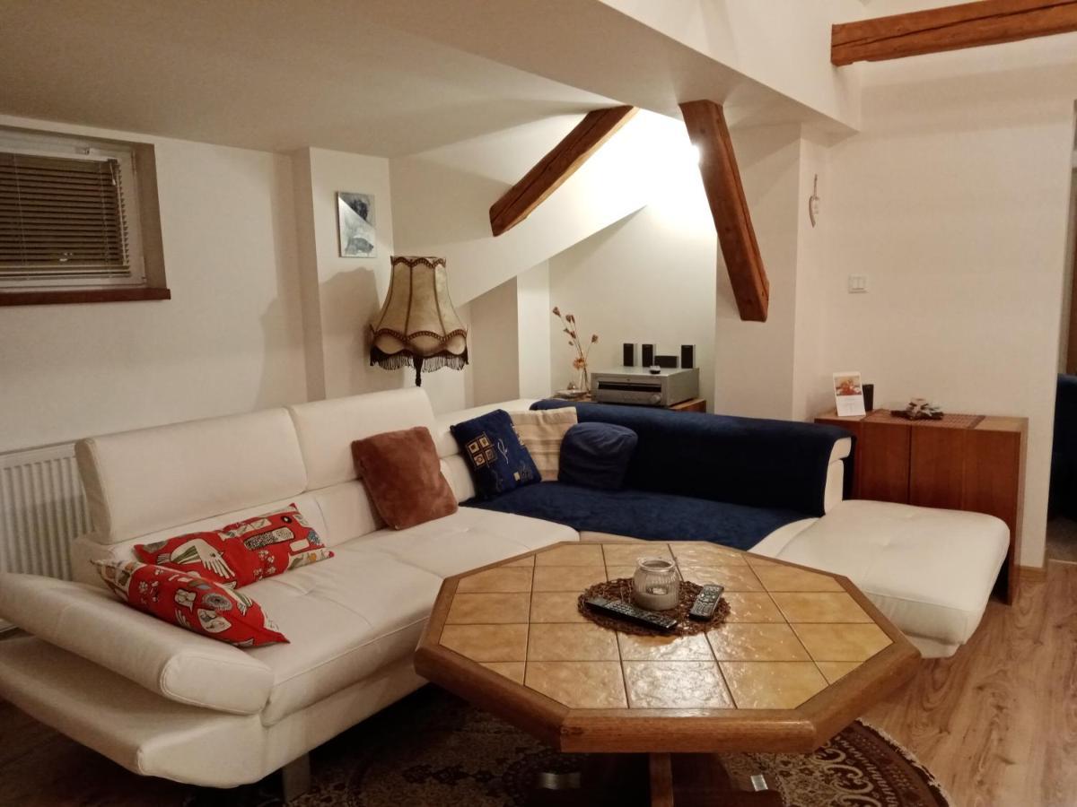 Apartment Krkonosska Tanvald Buitenkant foto