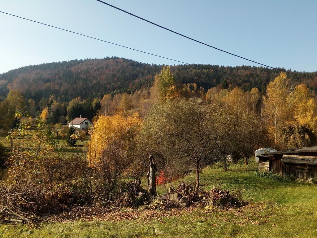 Apartment Krkonosska Tanvald Buitenkant foto